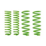 SUSPENSION-COMPLETA-FOAMCELL-NP300