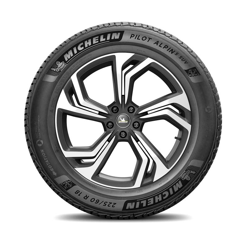 NEUMATICOS--MICHELIN--225-60R17-103H-XL-TL-PILOT-ALPIN-5-SUV-MI