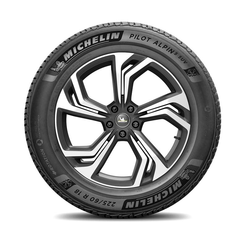 NEUMATICOS--MICHELIN--255-55R19-111V-EXTRA-LOAD-TL-PILOT-ALPIN-5-SUV-N0-MI